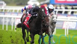 Puerto Rico loses maiden tag in Champagne Stakes