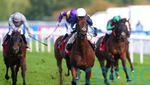 Marvelman finds top gear in Park Stakes