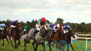 Fallen Angel soars to Matron Stakes success