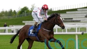 Barnavara books ticket to Paris with Blandford triumph