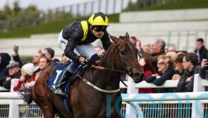Alparslan much the best for Karl Burke in Curragh sales race