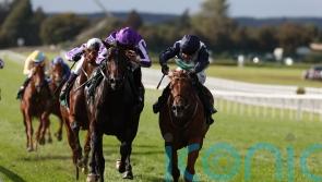 Dewhurst the next stop for National hero Zavateri