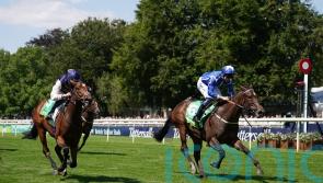 Curragh reverse, but Classic hopes already rising for Venetian Sun