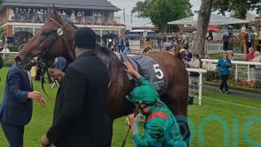 Arc hopes very much alive for back-to-form Daryz