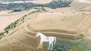 Police investigating damage to Westbury White Horse after red cross pinned to it