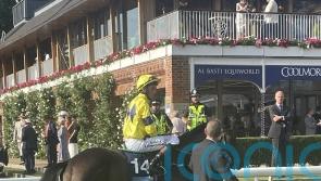 Spyce could add extra flavour to Futurity Trophy