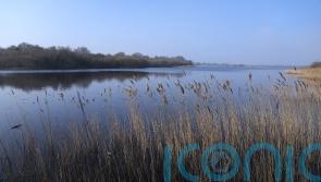 Tory green group urges Badenoch to prioritise nature recovery