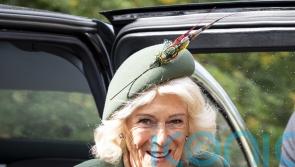 Queen to attend Trump state visit in full after recovering from acute sinusitis