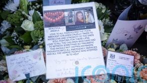 Southport killer ‘could and should have been stopped’, inquiry hears
