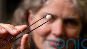 ‘One-of-a-kind’ Scottish freshwater pearl goes on display