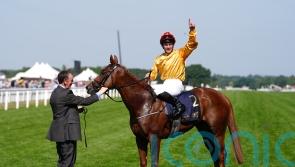 Breeders’ Cup enters the equation for Cercene