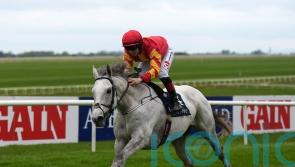 White Birch heading back up in trip for Arc bid