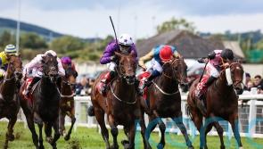 Night Raider in line for Abbaye if ground proves suitable