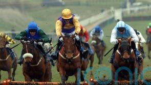 Colm Murphy pays tribute as Brave Inca dies, aged 27