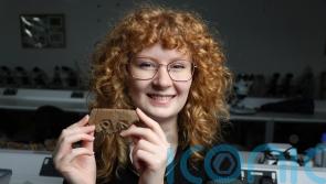 Archaeology student unearths rare stone carving that may show Pictish face