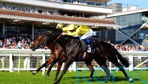Remmooz secures narrow Cup success at Newbury