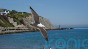 Government may have failed to comply with law over marine target, watchdog says