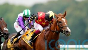 Montassib aiming to state Champions Day case at Newbury