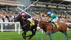 First Instinct pounces for Trophy success