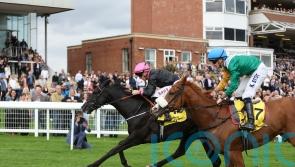 First Instinct delights William Haggas with Trophy win