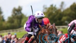 Arizona Blaze could take direct route to Breeders’ Cup