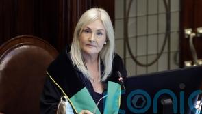 Ceann Comhairle urges action on fake social media accounts and false narratives