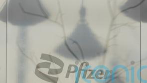 Pfizer ramps up obesity treatments push with 4.9 billion dollar deal for Metsera