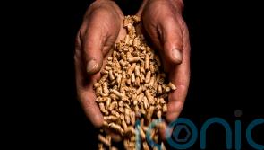 Closure of RHI scheme to cost £196 million over next decade