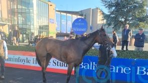 Yaupon De Replay sparks Breeders&rsquo; Cup hopes with debut win