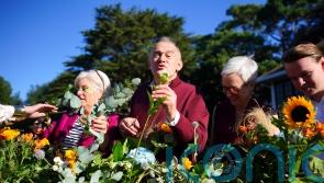 Ed Davey calls for open welcome to US cancer experts after Trump halts research