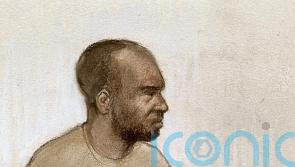 Migrant who sexually assaulted girl, 14, wants to be deported, court told