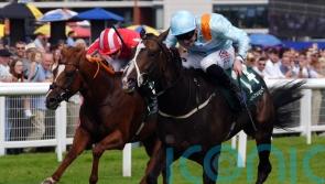 Bargain buy Anthelia primed for Cheveley Park challenge