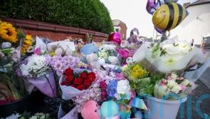 ‘Difficult’ to understand how one person caused so many injuries, inquiry hears