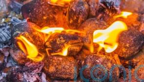 Recreational fires and barbecues to be banned in Cairngorms National Park