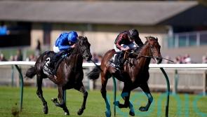 Maltese Cross makes an impression in shedding maiden tag