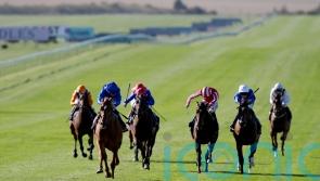 Distant Storm shows star quality in Tattersalls demolition