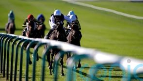 Miss Alpilles comes good with surprise Rose Bowl result