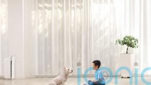 Children who grow up with dogs less likely to have asthma – study