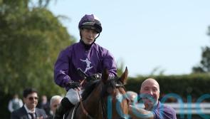 Johnston’s rising star Ancient Egypt has royal ambitions in Lodge