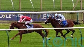 Zanthos back in business with all-the-way Rockfel win