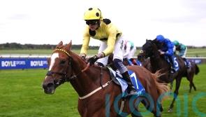 Zeus Olympios proves too good for Opera Ballo in Joel Stakes