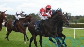 Donnacha O’Brien confident Happy Pharoah can shine in Irish Cesarewitch