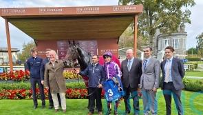 Hawk Mountain stars in Beresford Stakes at the Curragh