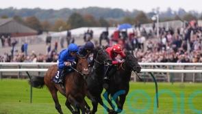 Wise Approach overcomes scare at the start to swoop in Middle Park