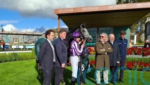 Dorset delivers in Goffs Million for Ballydoyle