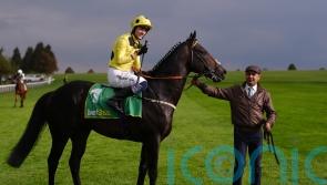 Boiling Point narrowly holds off challenge of Indalo to earn Cambridgeshire glory