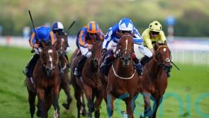 Cornwallis an option for Revival Power