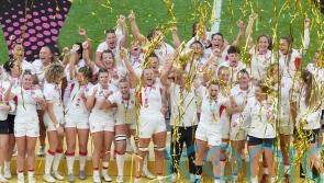 John Mitchell says world champions England will seek new summits to scale