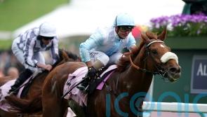 Andrea Azteni booked for Giavellotto Arc tilt