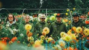 Welsh rock band Super Furry Animals to reform for tour next year